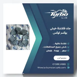 جلد فلانشة بوكسر مخيش تربو